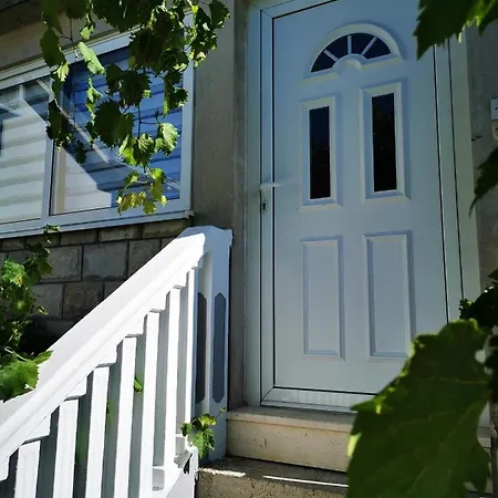 Miljanovic * 特雷比涅