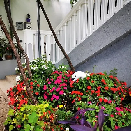 Apartment Miljanovic